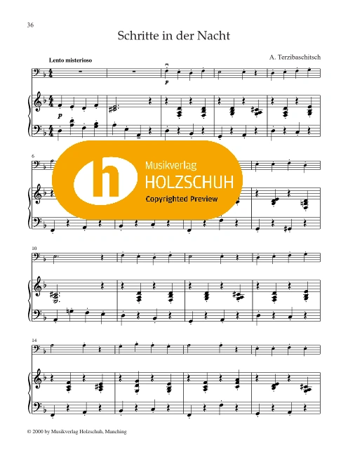 Schritte in der Nacht